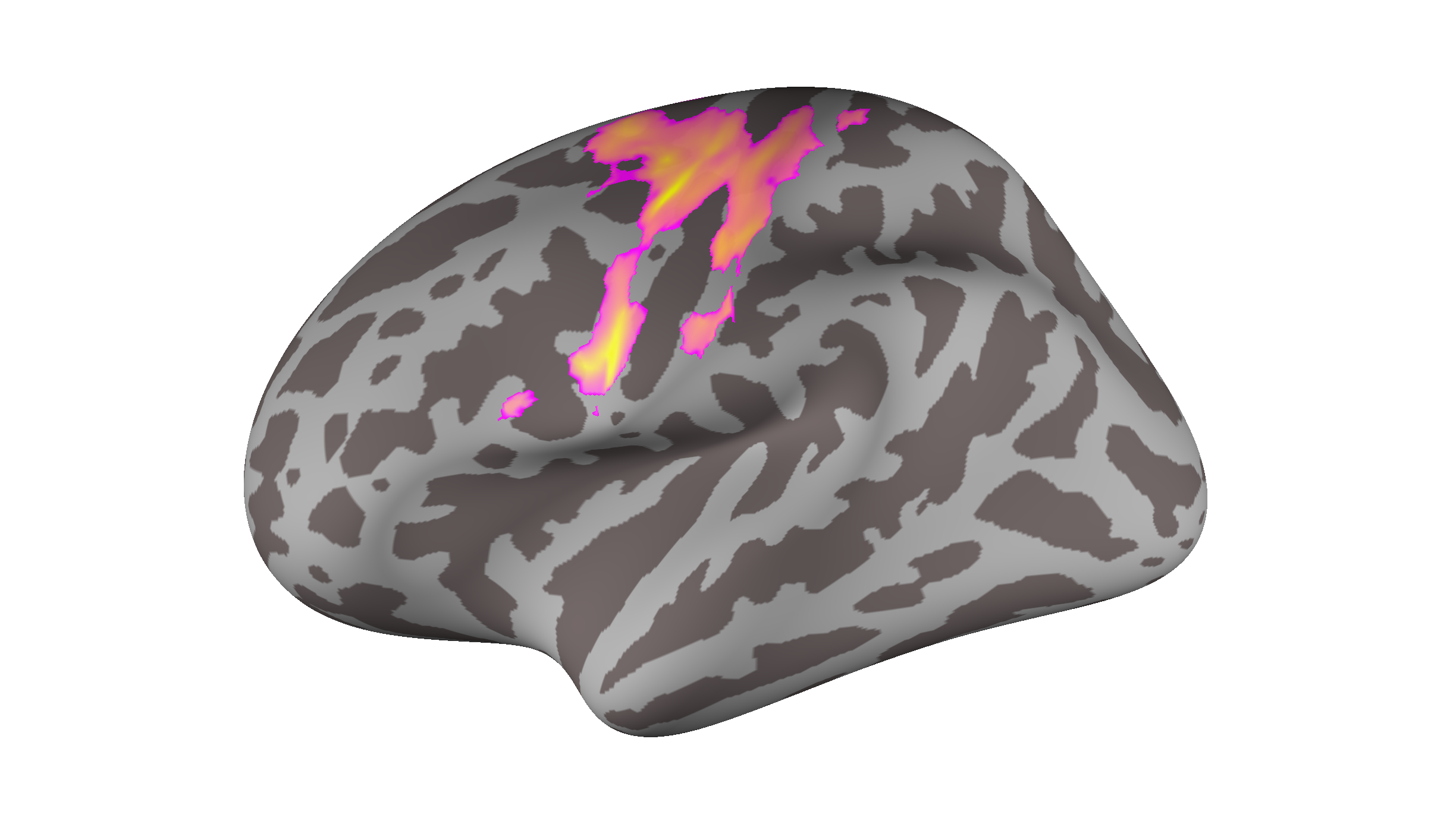 What are the neural circuits and computations behind the learning curve? What are the neural circuits and computations behind the learning curve?