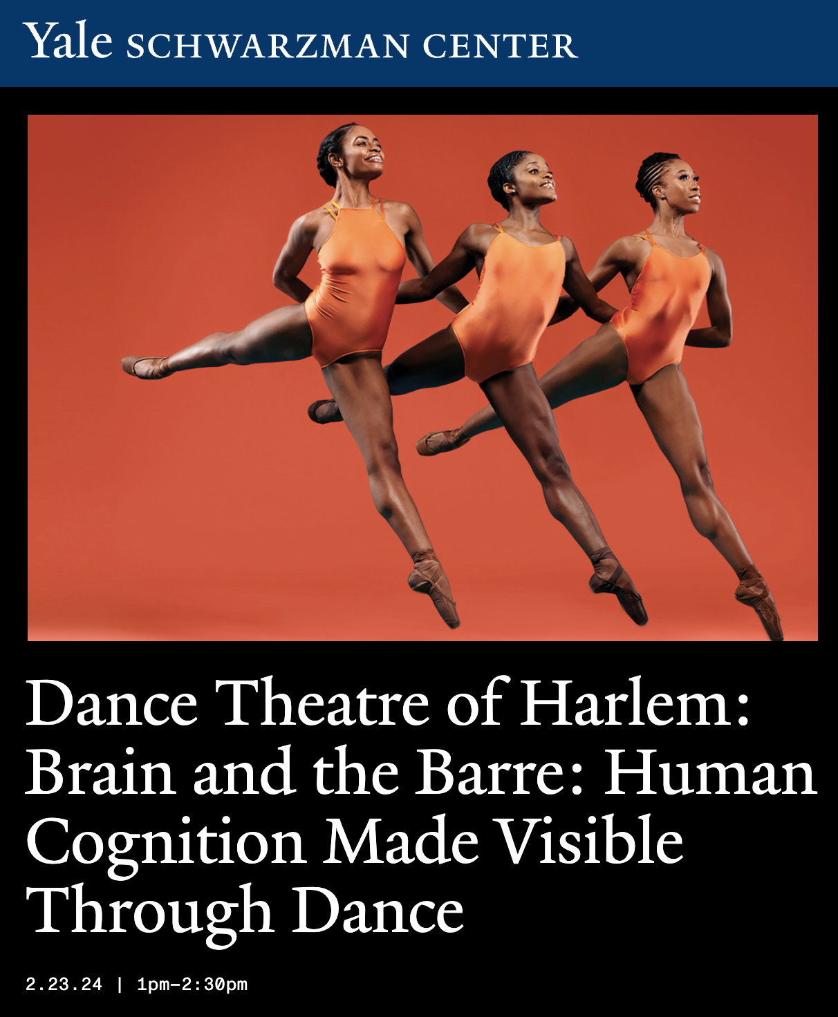 brain and the barre