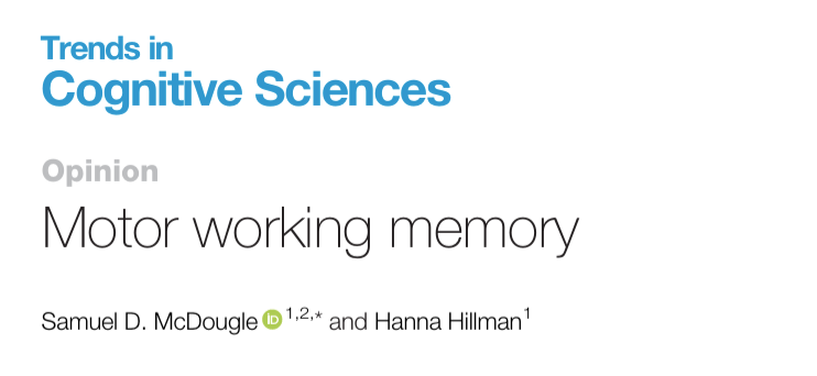 motor working memory